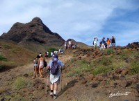 /album/galeria-de-fotos/a531039-474025049303290-513863729-n-jpg/